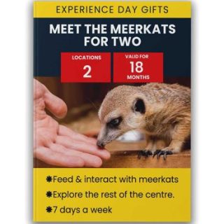 Supertienda de actividades Conoce a los suricatos para dos