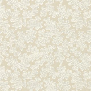 Fondo de pantalla de Arlequín Zori