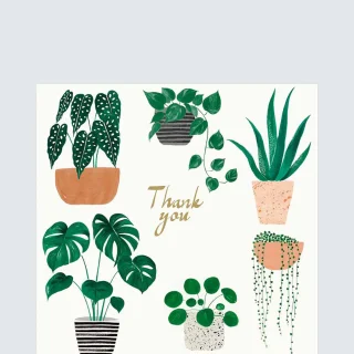 Tarjeta de agradecimiento por plantas de interior