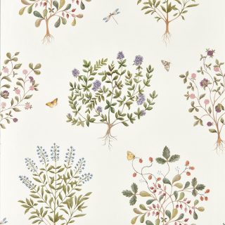 Papel pintado Sanderson Thyme Walk