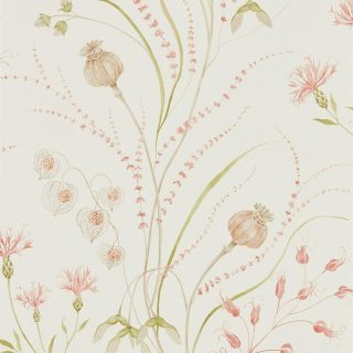 Papel pintado de la cosecha de verano de Sanderson