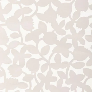 Fondo de pantalla de Freida para cualquier día