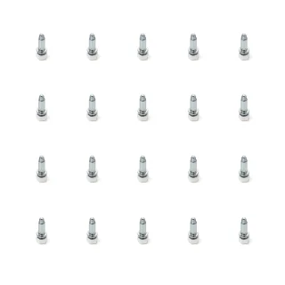 Emuca Lote de 20 pies niveladores para mueble, base hexagonal, M6, regulación 18mm, Acero y plástico