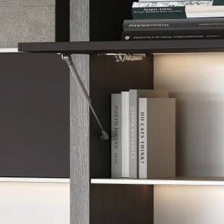 Emuca Pistón para puertas elevables Thin, diámetro 12mm, con enganches, 5kg, Acero y Plástico, Pintado níquel mate