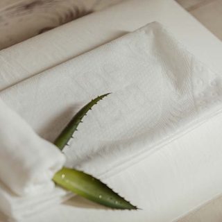 Funda Almohada Aloe Vera