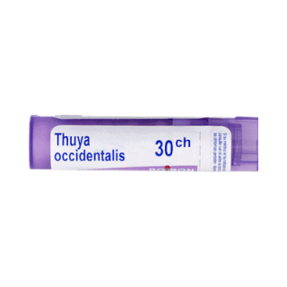 Boiron Thuya Occidentalis  30 Ch Granul – Homeopatía